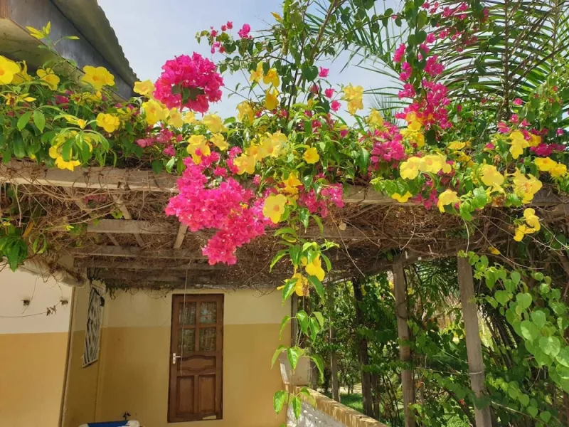 Billede 9 af Kunta Kinteh Beach Complex