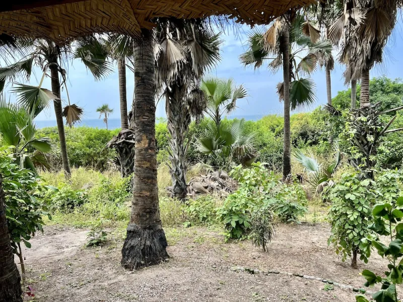 Billede 9 af Nemasu Eco-Lodge