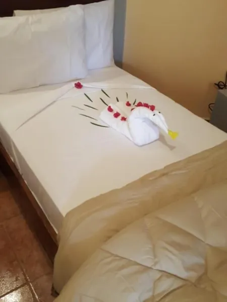 Billede 24 af Tropic Garden Hotel