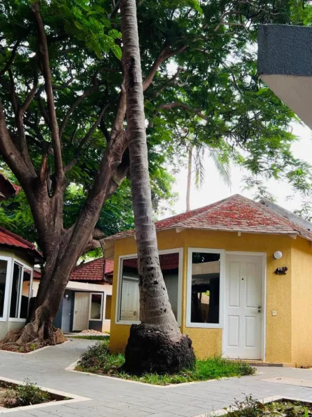 Billede 46 af Tropic Garden Hotel