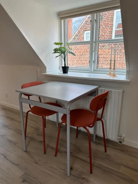 Billede 17 af Loftlejlighed i centrum