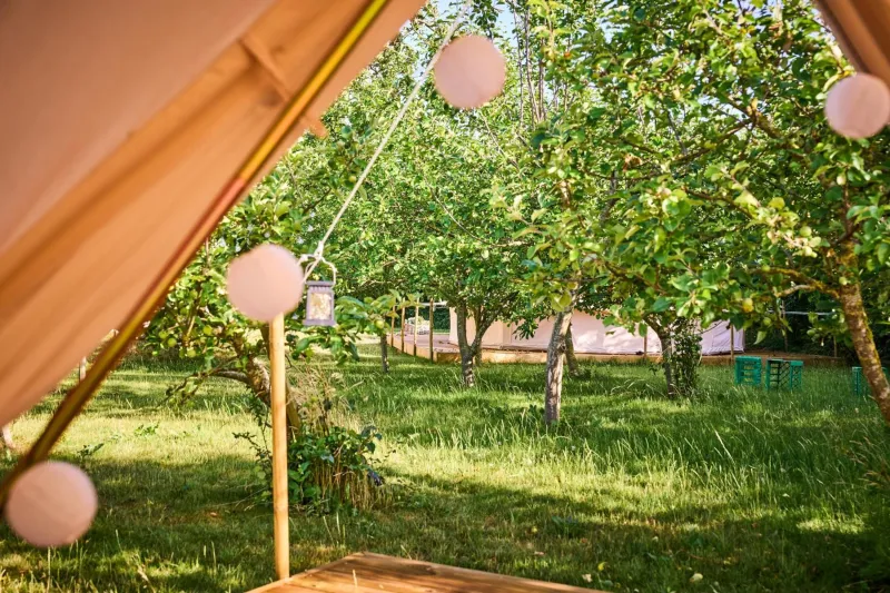 Billede 68 af Hesselgaard Glamping