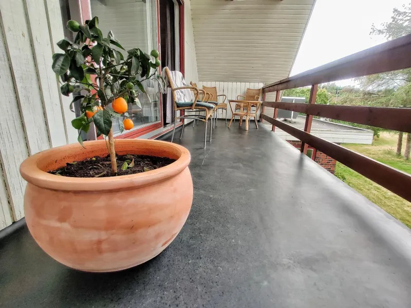 Billede 3 af Villa Nida