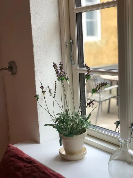 Billede 32 af Tinghusets overnatning