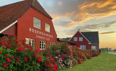 Billede 32 af Rosengaarden Hostel