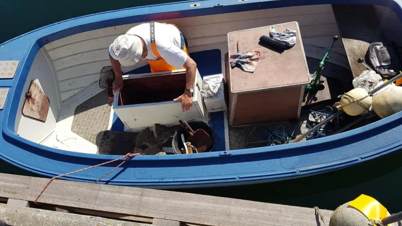 Billede 6 af Skortskær Bondegårdsferie