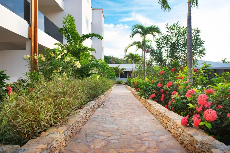 Billede 71 af Naboo Resort & Dive Center - Adults Only