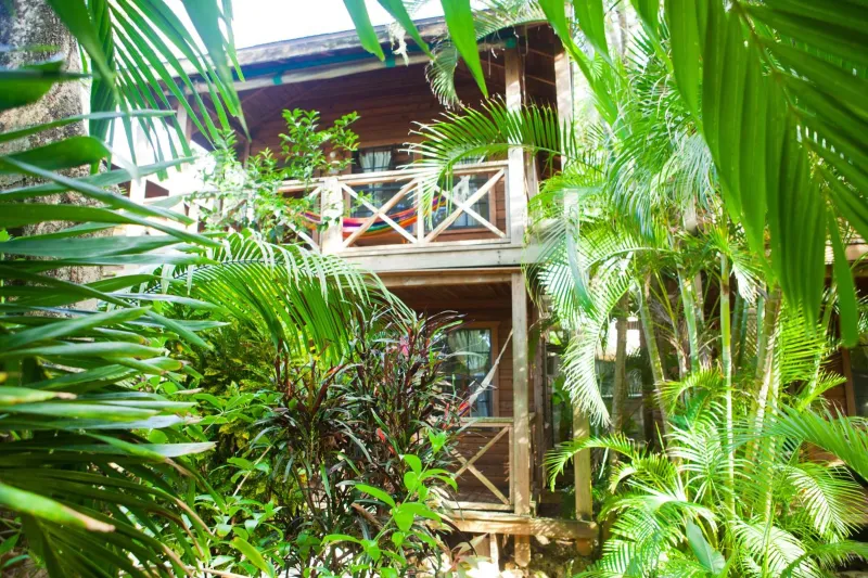 Billede 8 af Las Rocas Resort and Dive Center