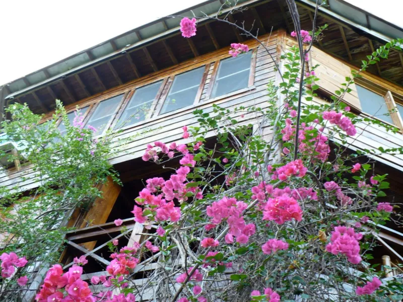 Billede 22 af Roatan Bed & Breakfast Apartments