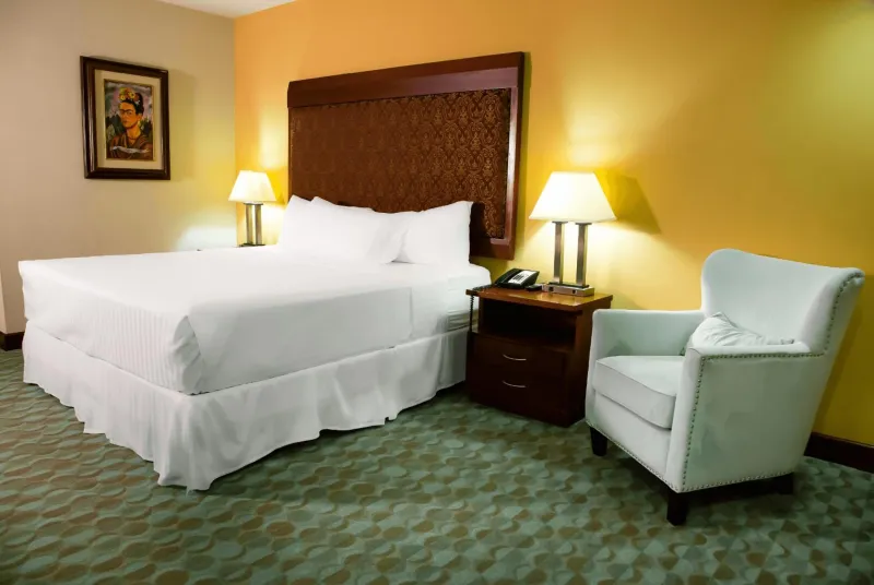 Billede 10 af Hotel Plaza Juan Carlos