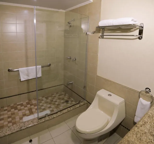 Billede 19 af Hotel Plaza Juan Carlos