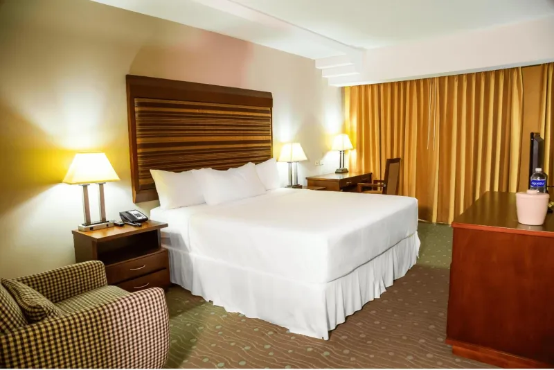 Billede 44 af Hotel Plaza Juan Carlos
