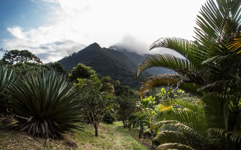 Billede 8 af Omega Tours Adventure Company & Eco Jungle Lodge