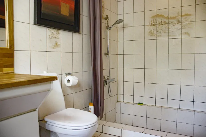Billede 9 af Dejligt og stort hus med spa og sauna
