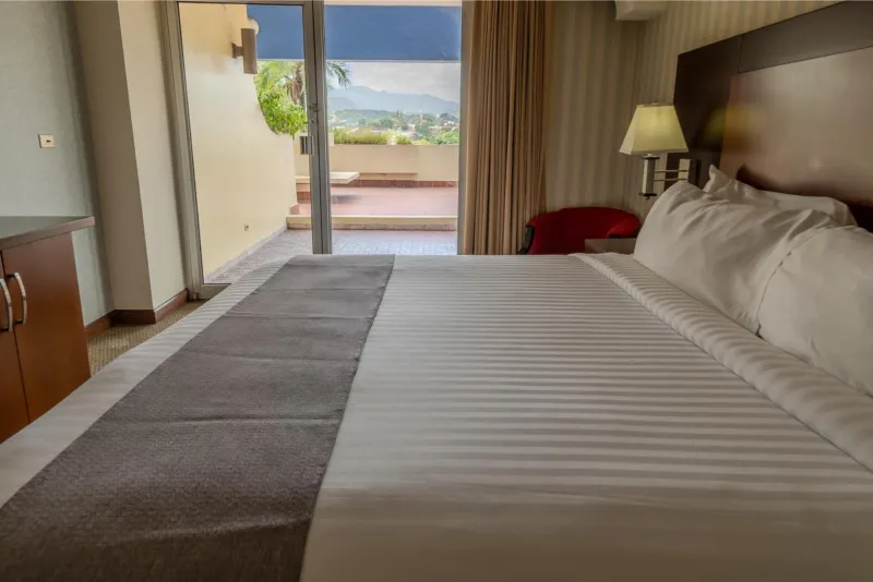 Billede 9 af Hotel Plaza San Martin