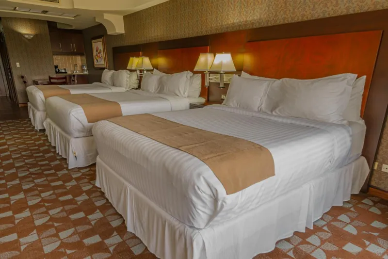 Billede 44 af Hotel Plaza San Martin