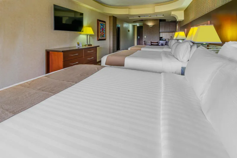 Billede 48 af Hotel Plaza San Martin