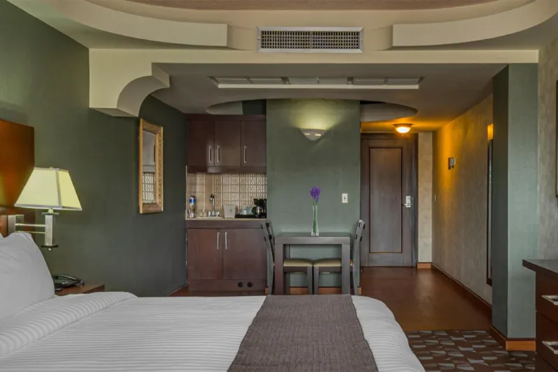 Billede 59 af Hotel Plaza San Martin
