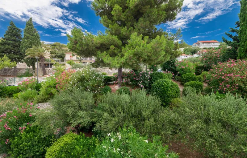 Billede 56 af Amfora Hvar Grand Beach Resort
