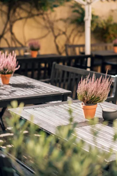 Billede 29 af Hotel Faaborg