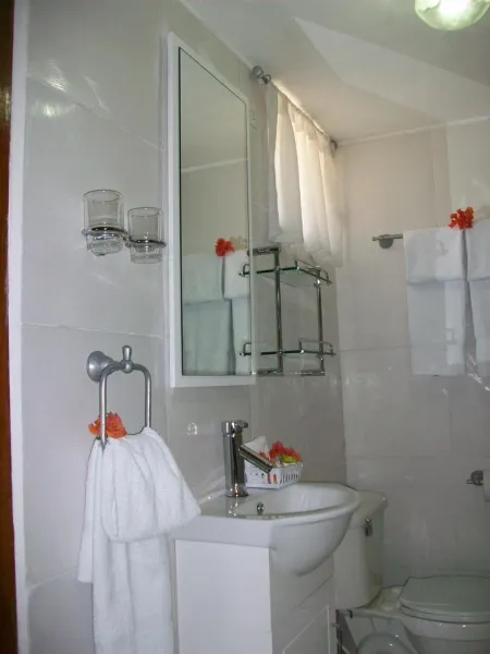 Billede 13 af Ideal Villa Hotel