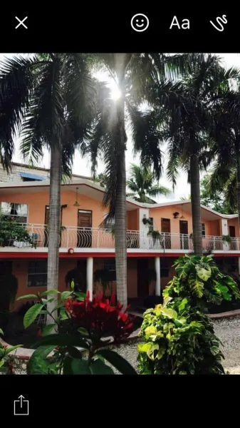 Billede 7 af Palm Inn Hotel