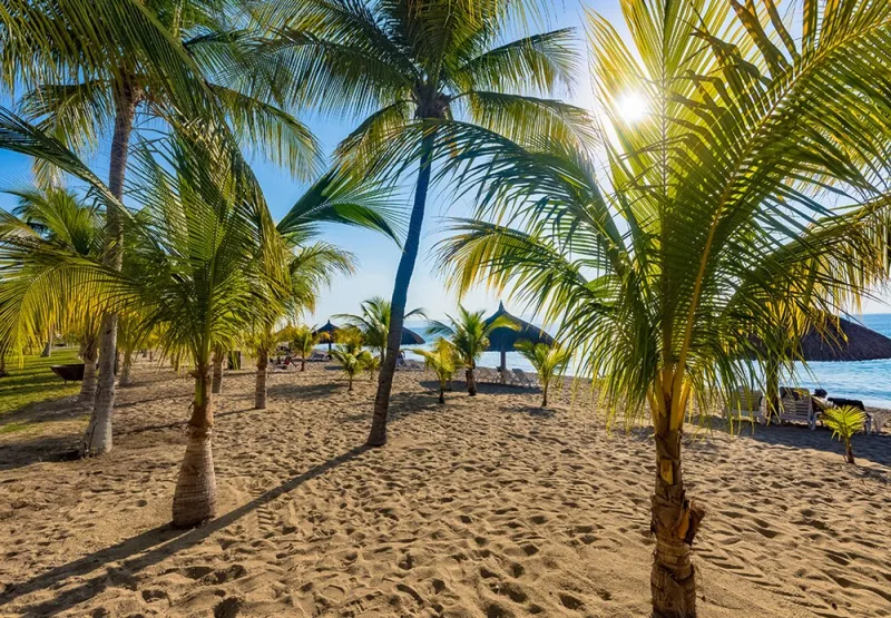 Billede 5 af Royal Decameron Indigo - All Inclusive