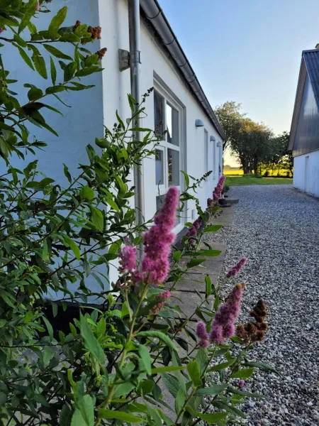 Billede 1 af Vakantiewoning Denemarken