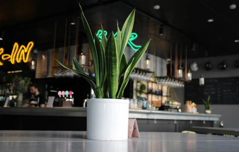 Billede 13 af Comfort Hotel Vesterbro
