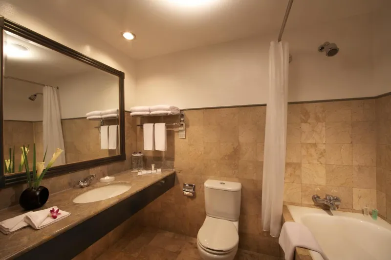 Billede 45 af Millennium Hotel Sirih Jakarta