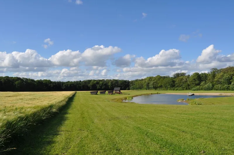 Billede 55 af Koebenhovedskov Bed & Breakfast