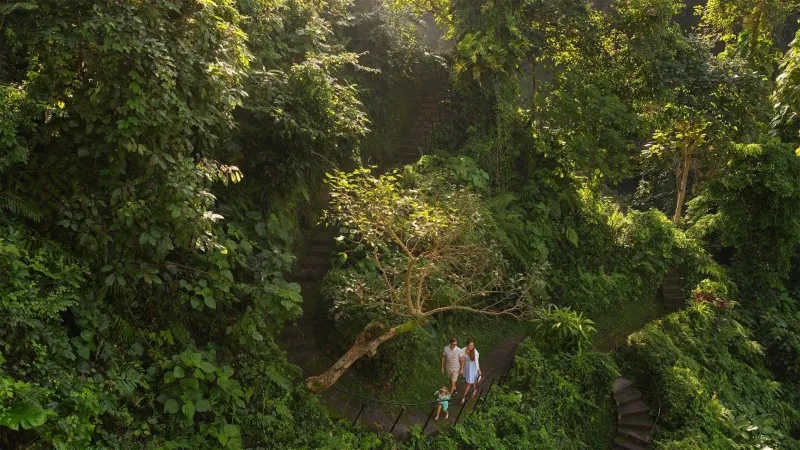 Billede 25 af Maya Ubud Resort & Spa