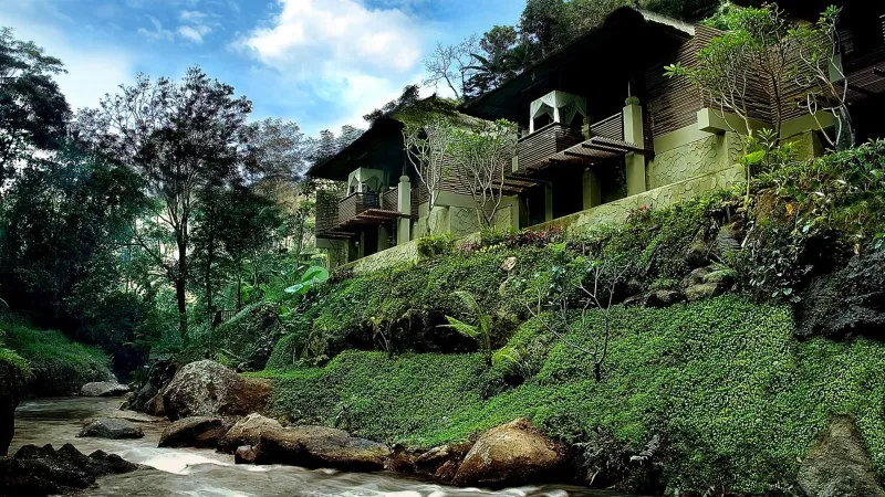 Billede 60 af Maya Ubud Resort & Spa