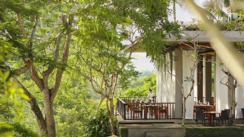Billede 64 af Maya Ubud Resort & Spa