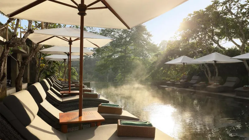 Billede 65 af Maya Ubud Resort & Spa