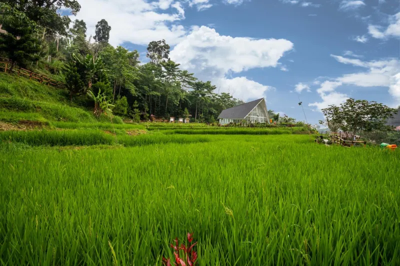 Billede 35 af Le Eminence Puncak Hotel Convention & Resort