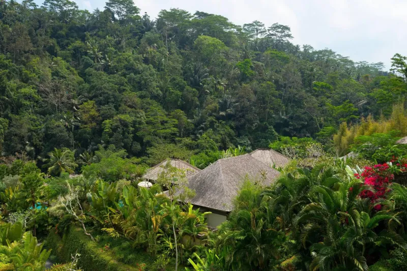 Billede 2 af Mandapa, a Ritz-Carlton Reserve