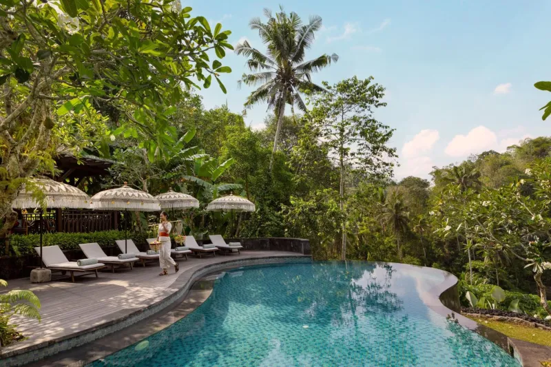 Billede 8 af Mandapa, a Ritz-Carlton Reserve