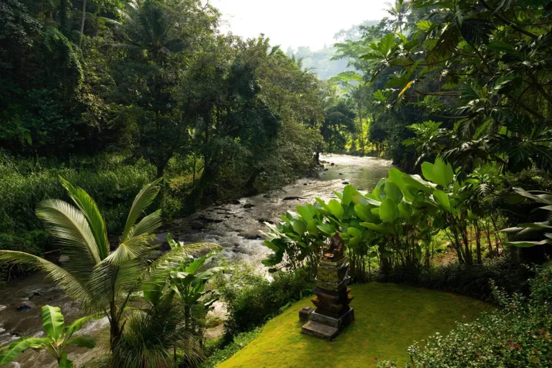 Billede 9 af Mandapa, a Ritz-Carlton Reserve