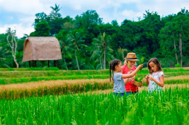 Billede 101 af Mandapa, a Ritz-Carlton Reserve