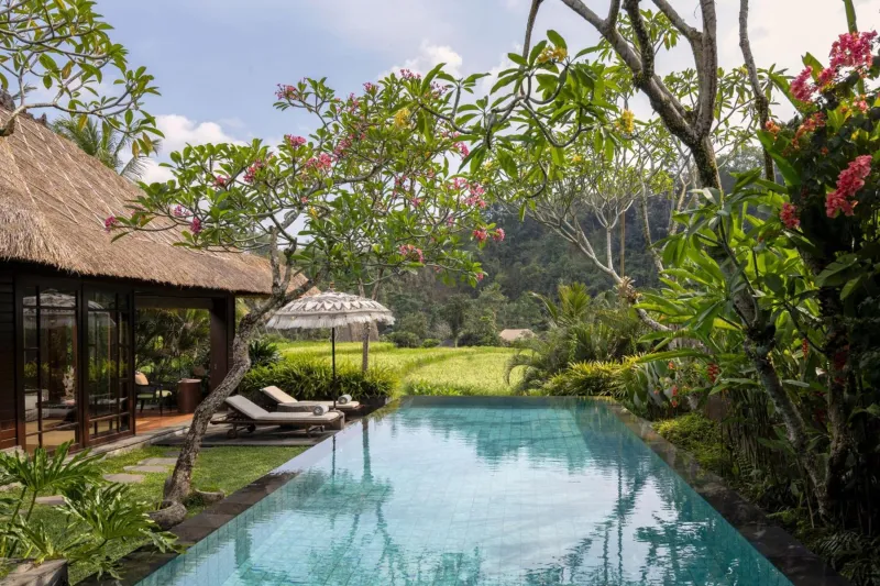 Billede 33 af Mandapa, a Ritz-Carlton Reserve