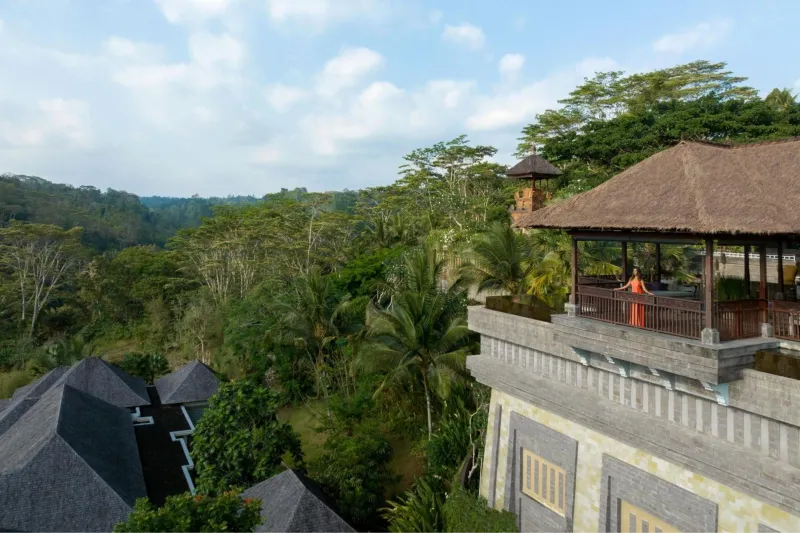 Billede 43 af Mandapa, a Ritz-Carlton Reserve