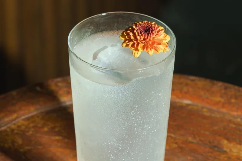Billede 46 af Mandapa, a Ritz-Carlton Reserve
