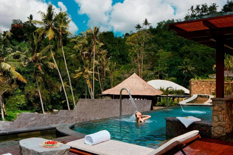 Billede 79 af Mandapa, a Ritz-Carlton Reserve