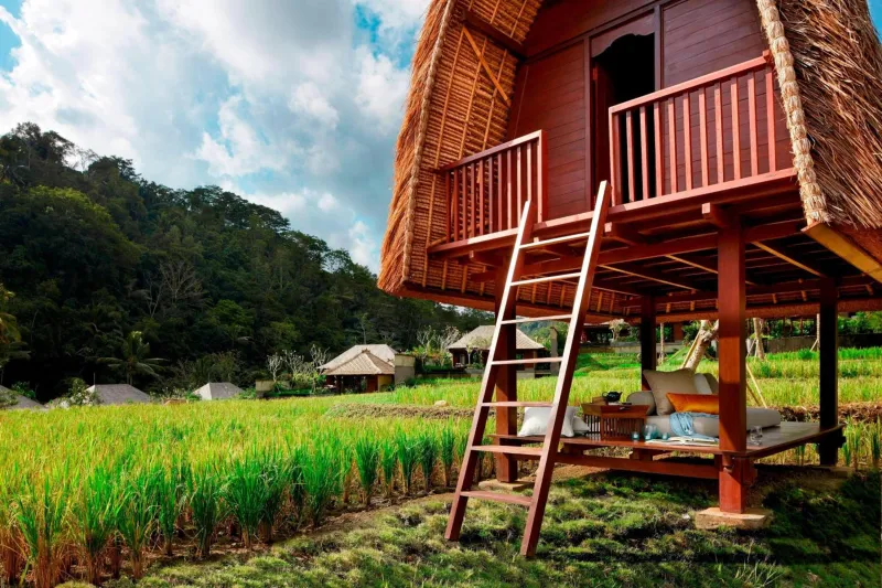 Billede 90 af Mandapa, a Ritz-Carlton Reserve