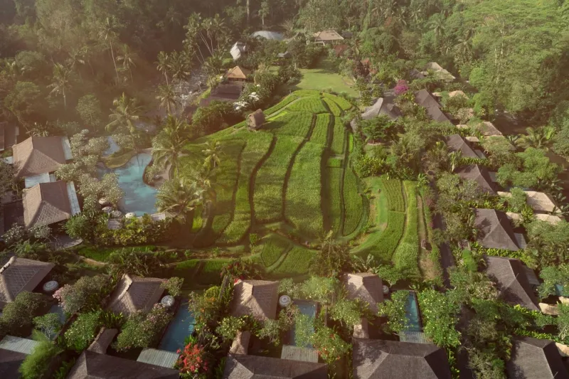 Billede 91 af Mandapa, a Ritz-Carlton Reserve