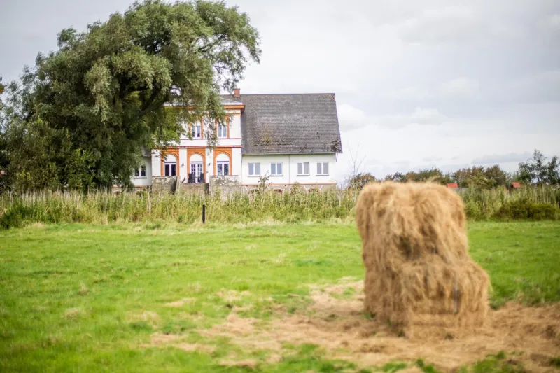 Billede 20 af Hohenwarte