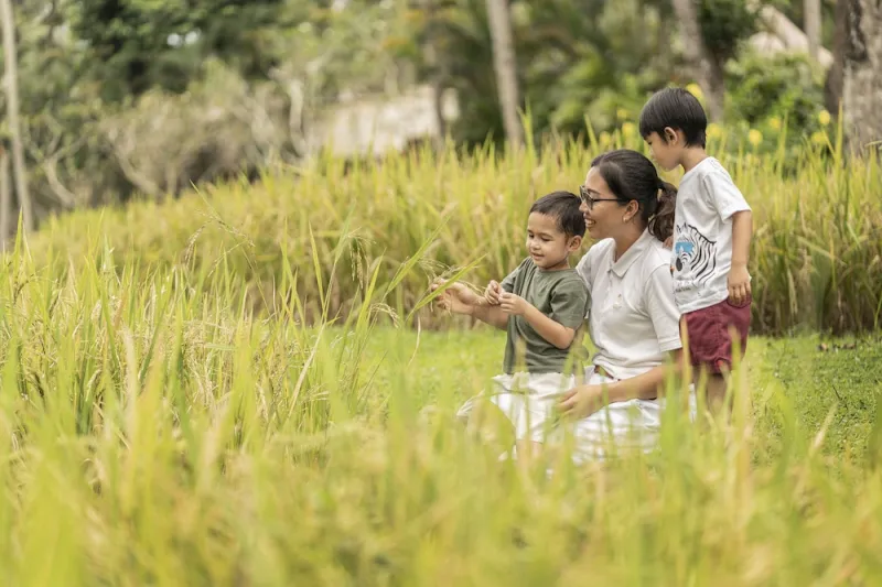 Billede 116 af Four Seasons Resort Bali at Sayan