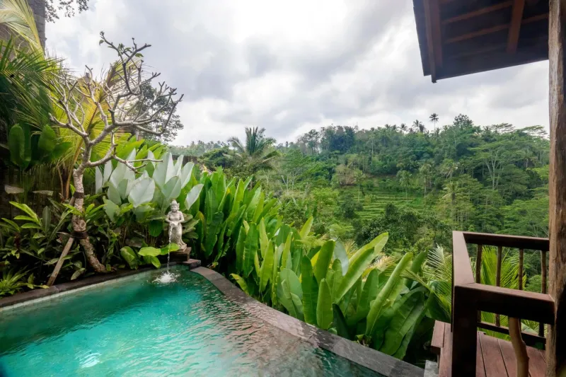 Billede 13 af The Kayon Jungle Resort