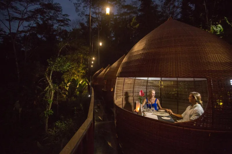 Billede 53 af The Kayon Jungle Resort